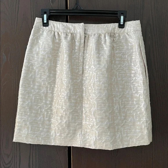 Ann Taylor Loft tan and silver mini skirt. Size 4P - Picture 5 of 9
